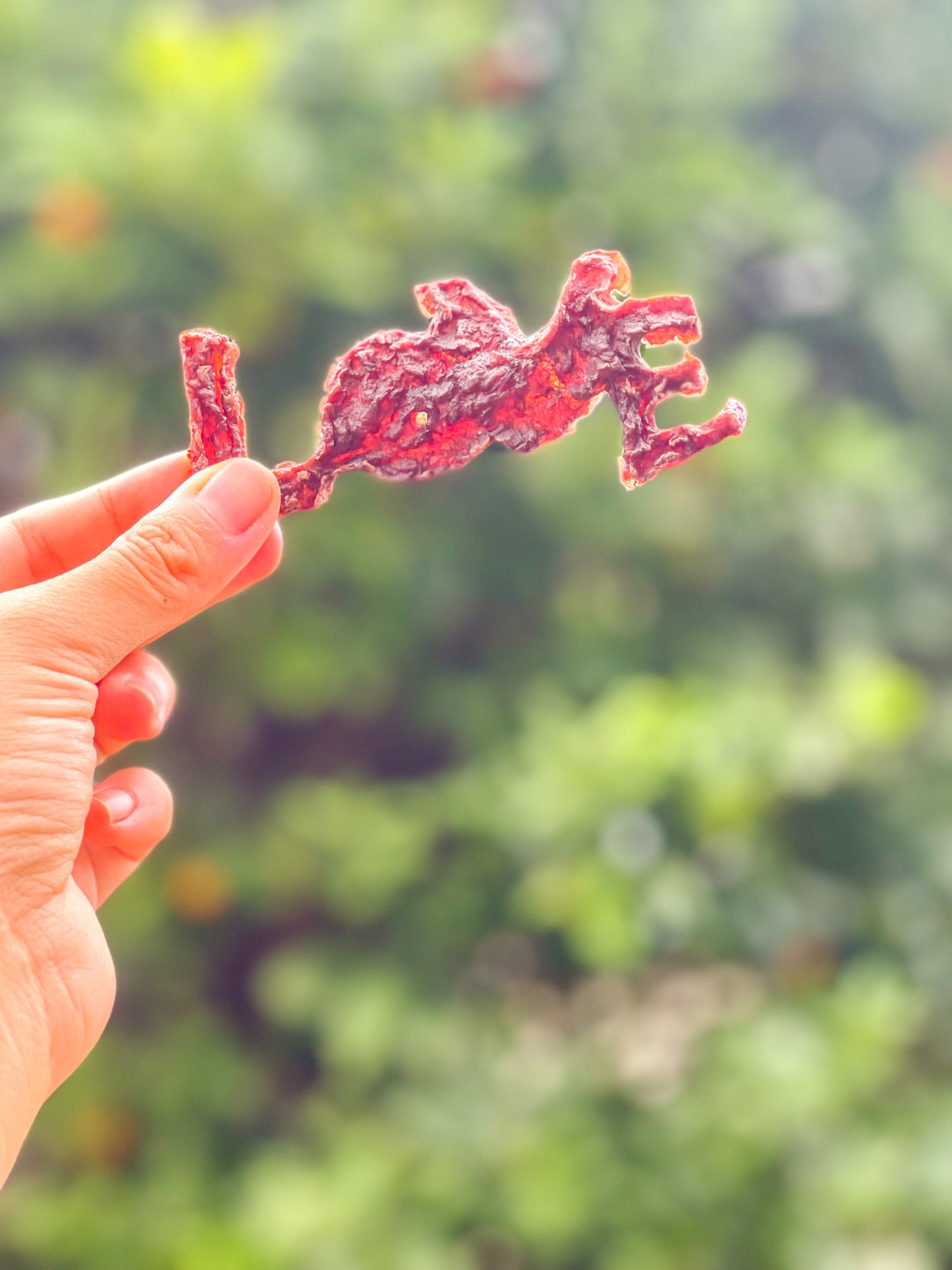 LOVE Meat Jerky