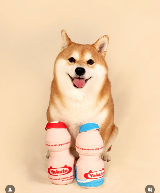 Ya-Kute Dog Toy