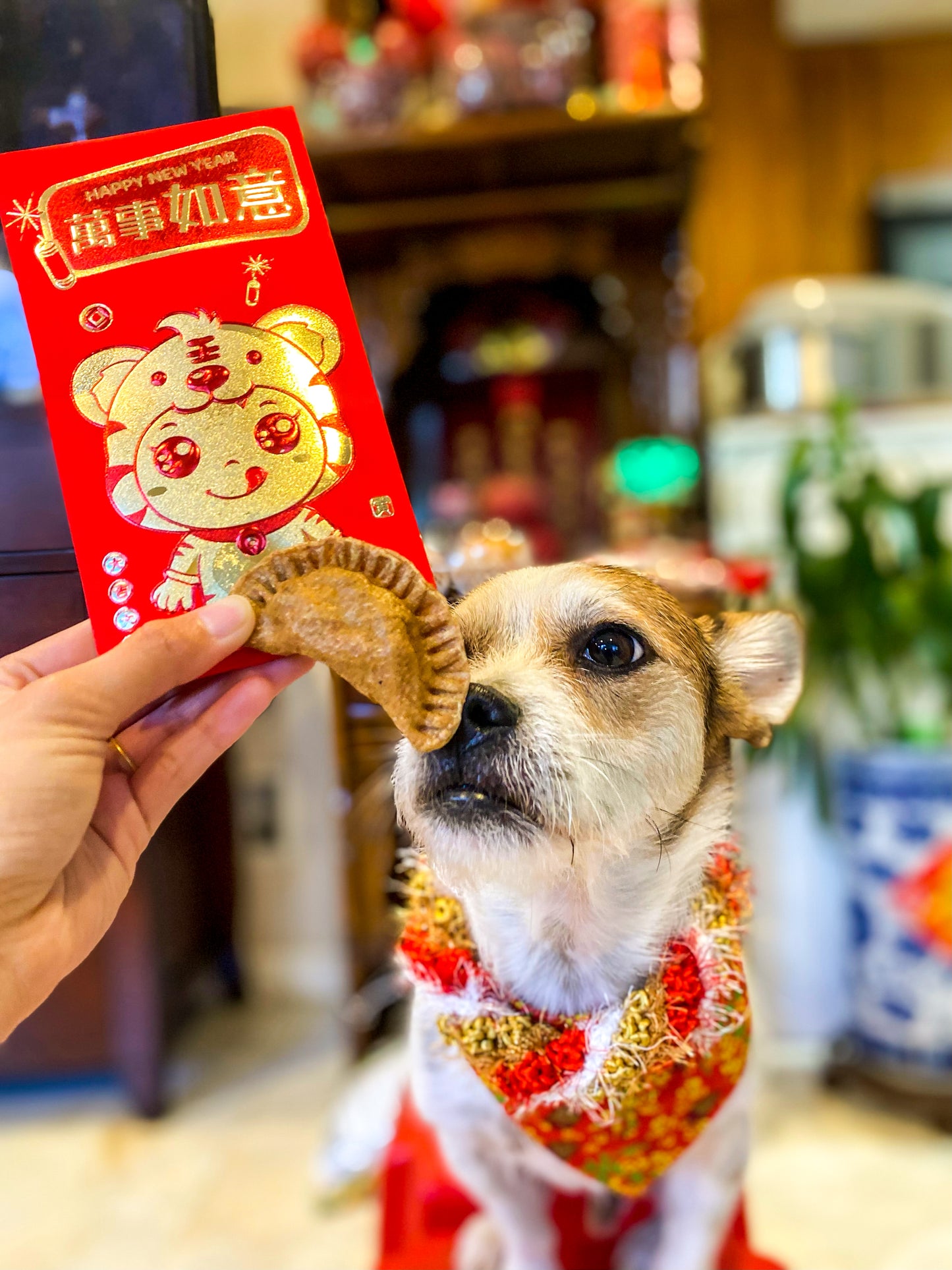 Lunar New Year Bundle