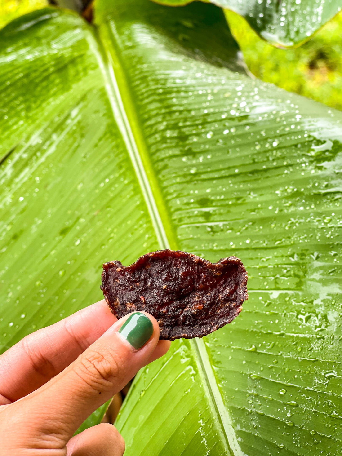 Lunar New Year Meatballs