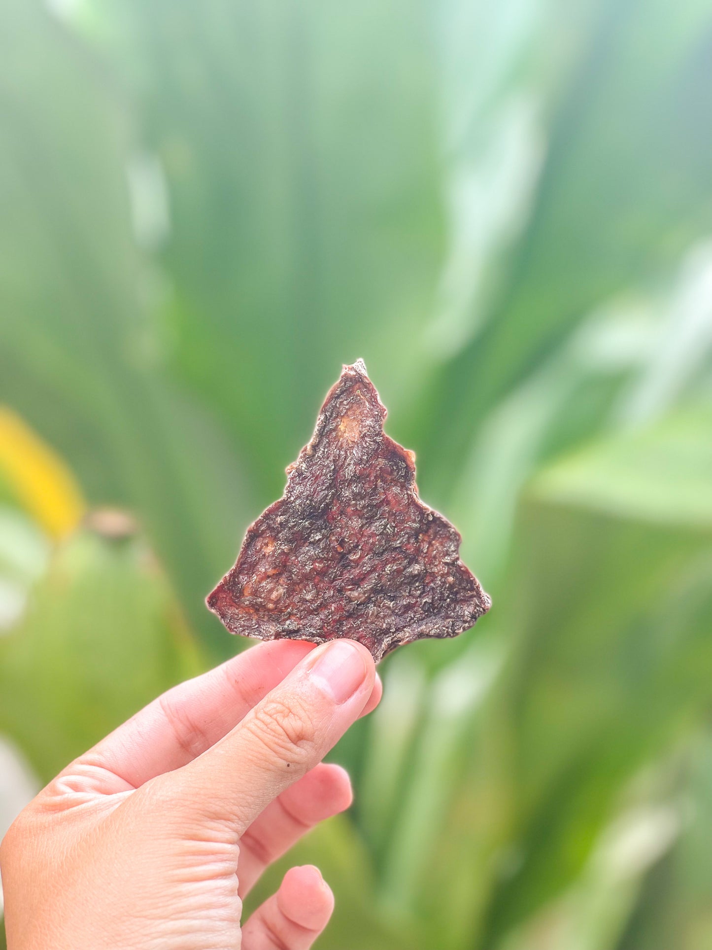 Christmas Advent Calendar