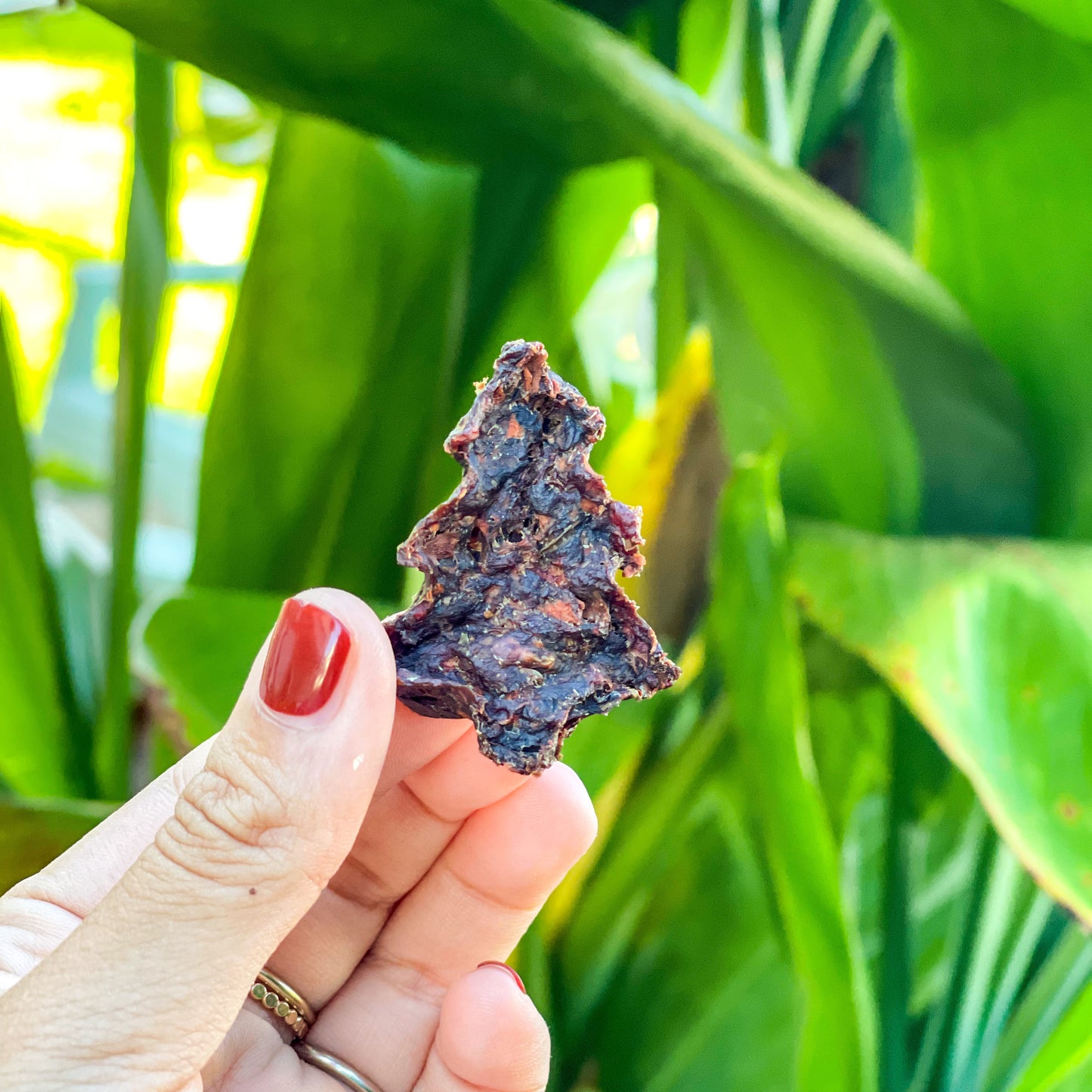 Christmas Beef Meatballs