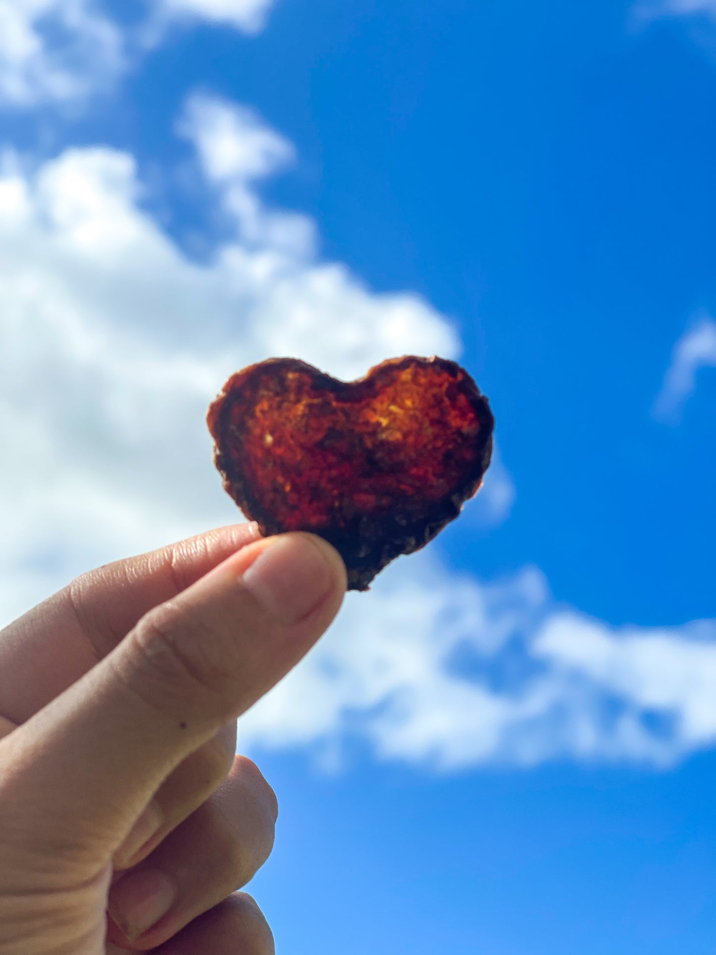 Valentine’s Day Beef Hearts